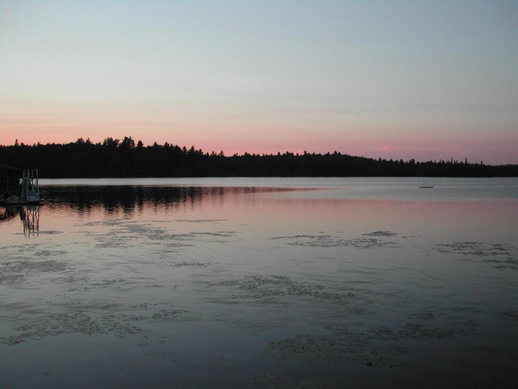 Arowhon Pines Algonquin Park酒店 外观 照片